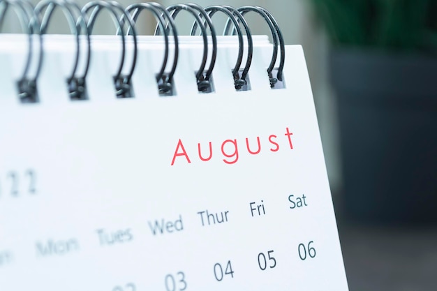 Wazig witte augustus 2022 kalender met potplant. Nieuwjaarsconcept 2022