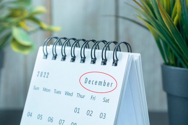 Wazig witte december 2022 kalender met potplant. Nieuwjaarsconcept 2022