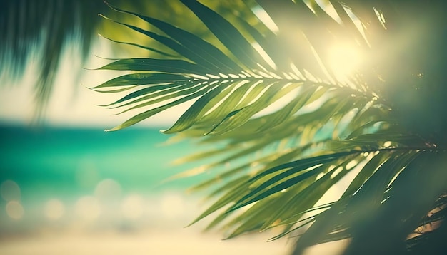 Wazig zomer natuurlijke tropische blauwe achtergrond met palmbladeren en zonnestralen van licht