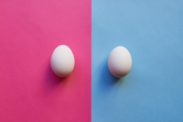 We have a boy and a girl Studio shot of two eggs placed on two different colored backgrounds next to each other