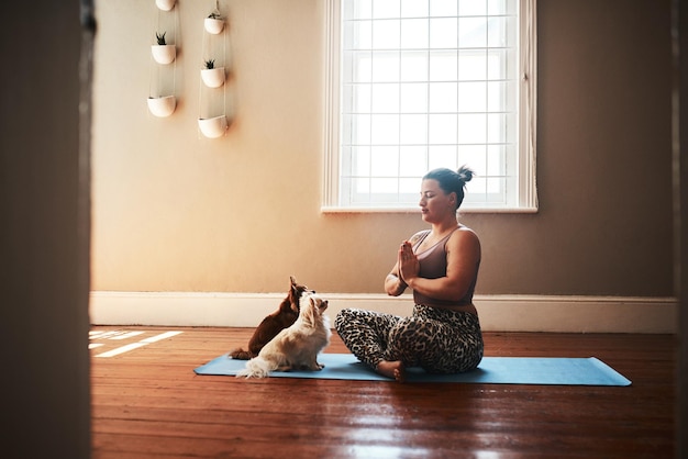 We mustnt disturb mommy while shes meditating Shot of a young woman meditating on a yoga mat alongside her dogs at home