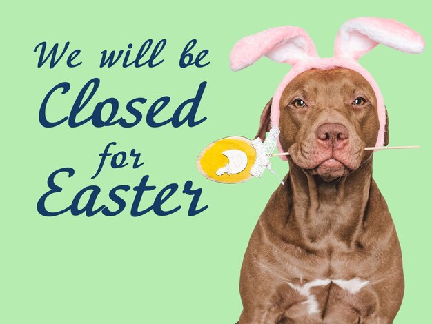 Photo we will be closed for easter signboard