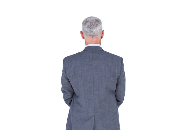 Wear view of businessman with grey hair 