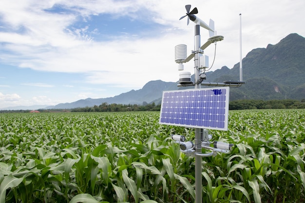 Weather station in corn field 5G technology with smart farming concept