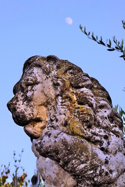 Foto scultura di leone intemperato in italia