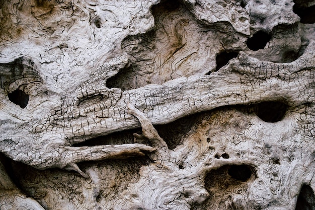 Photo weathered wood photo