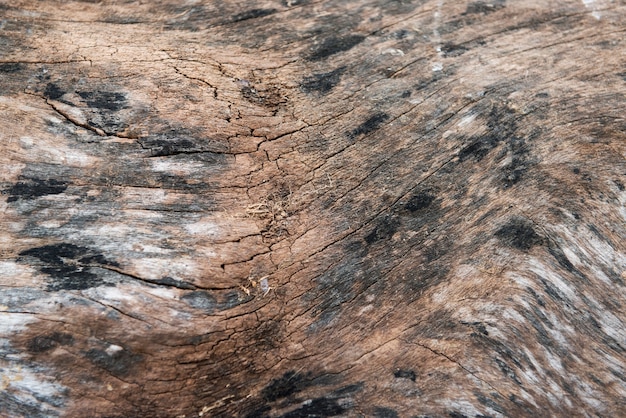 Photo weathered wood surface,wooden background