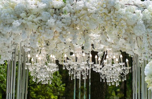 Wedding arch of white flowers in the park.