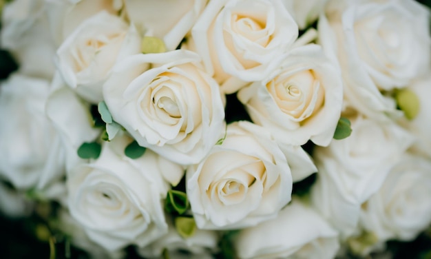 Wedding bouquet of white roses texture of flowers