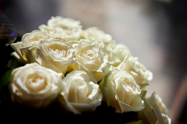 wedding bouquet of white roses White roses Flower composition Luxury bouquet of fresh roses