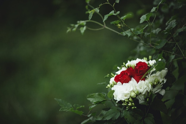 Bouquet di nozze con i fogli intorno