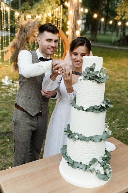 Wedding cake cutting