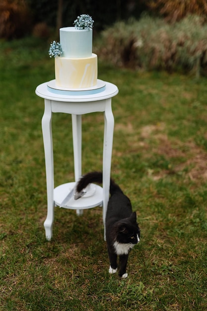 Wedding cake at the wedding