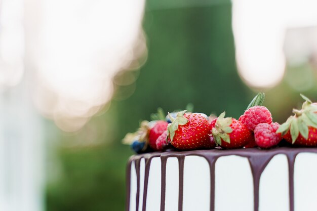 딸기와 녹색 배경 위에 위에 블루 베리 웨딩 케이크. 식을위한 흰색 맛있는 케이크.