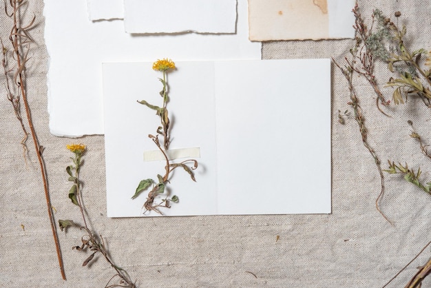 写真 ウエディングカードのモックアップフラットレイ素朴なスタイル白い紙vingage古い紙