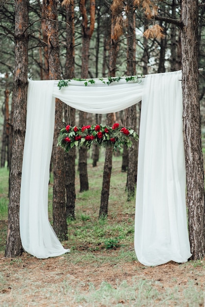 Фото Свадебная церемония в лесу среди деревьев на зеленой дорожке
