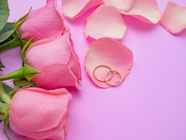 Wedding concept. Beautiful pink rose on pink background with two wedding rings. Copy space.