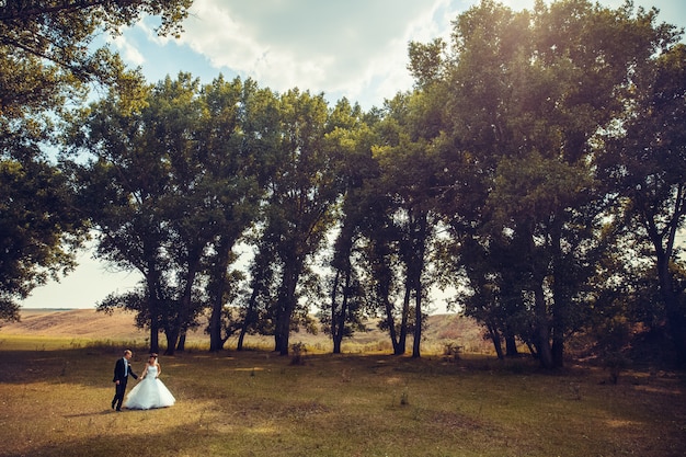 결혼식 한 쌍은 숲에서 걷고있다