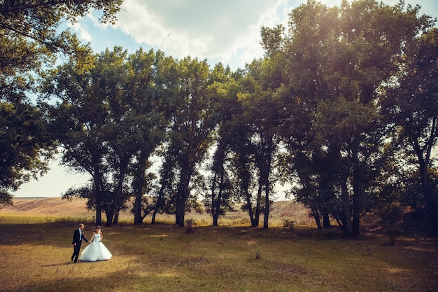 結婚式のカップルが森を歩いています。