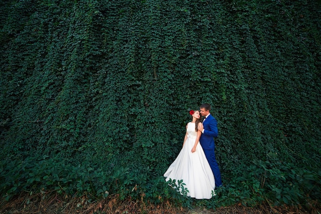 Wedding couple on the background of the wall of greenery