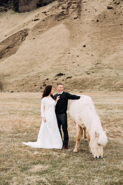 結婚式のカップルとシックなたてがみを持つクリーム色の馬馬が花婿の抱擁草を食べています