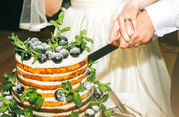 Photo wedding couple is cutting modern rustic cake. open sponge dessert with mint leaves and fresh fruit grapes on top. boho style wedding cake. groom in the black suit and bride in white elegant dress.