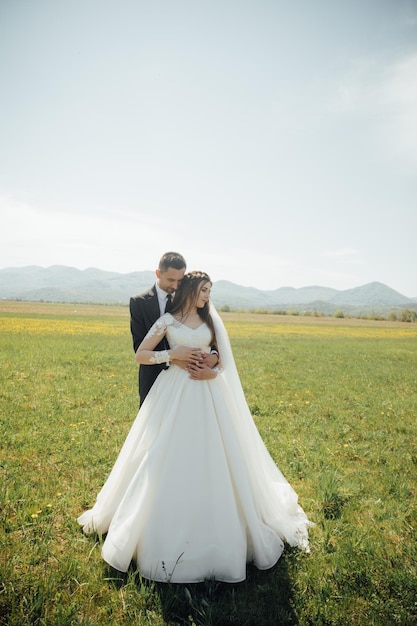 自然の上の結婚式のカップルは小麦と一緒に畑を歩きます。素晴らしい田園風景