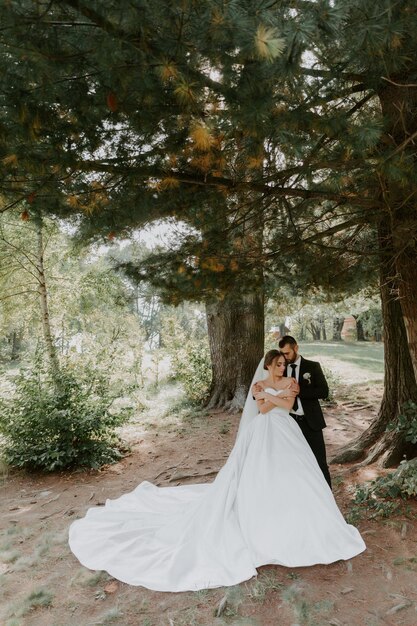 Photo wedding couple in pine forest