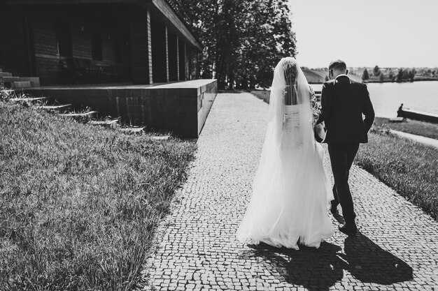 Wedding couple walking in nature Back view The bride and groom walk back near lake Portrait of an attractive couple in country Newlyweds getting married outdoors Black and white photo