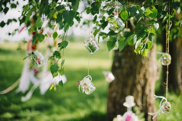 Wedding decor jars with flowers hanging on the ropes on the branches of a birch in summer