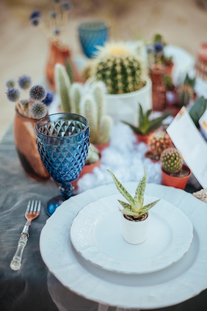 Wedding decor on the table with succulents