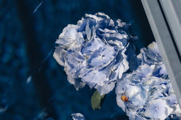 Wedding decoration ceremony Chandelier in the arch of flowers