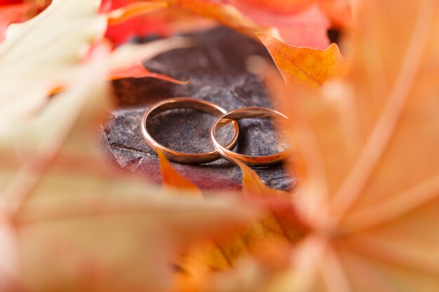 Wedding decoration. Red leaves on weathered stone with wedding rings