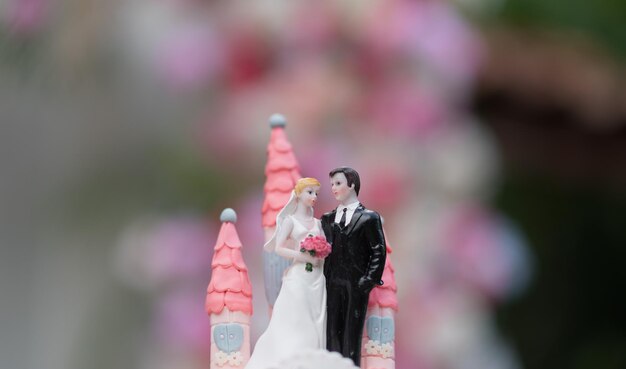 Wedding doll on cake, love couple