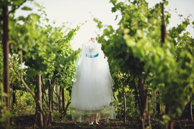 Photo wedding dress hanging from a tree