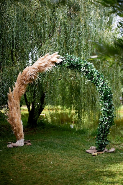 Wedding floristryArch of pampas grass Wedding decor using cereals Onsite registration