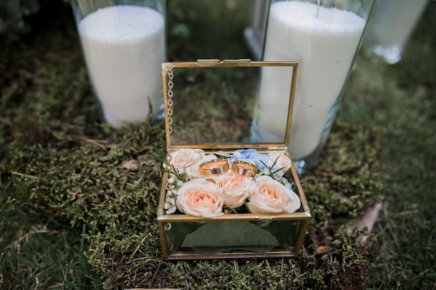 Wedding gold rings in a transparent box