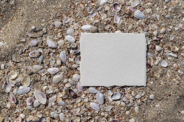 Свадебное приглашение с видом на океан Морские ракушки и песчаный фон Белый лист бумаги