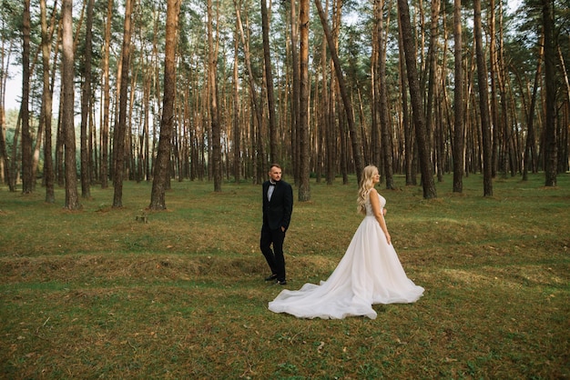 wedding photo session of a young couple