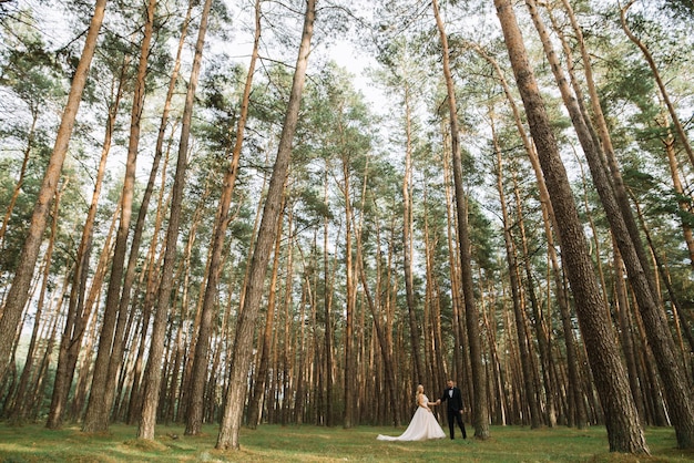 若いカップルの結婚式の写真撮影