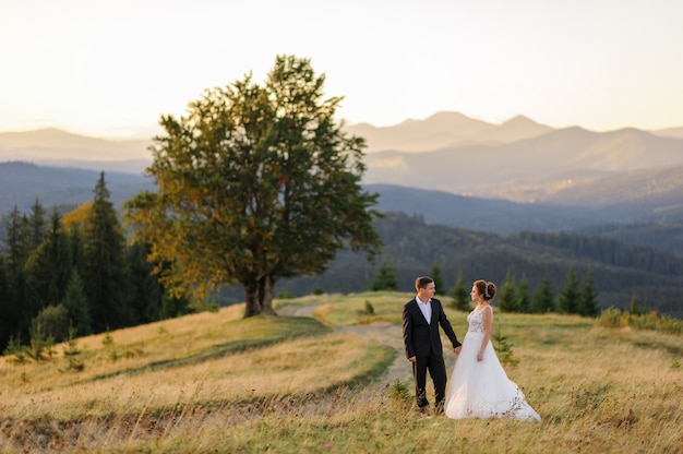 Wedding photography in the mountains. The bride and groom hold hand on the landscape of the old 100 year old beech.