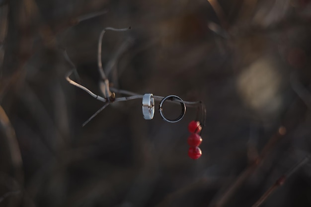 Foto fotografia di matrimonio due anelli di nozze su un ramo di un albero con sfondo sfocato love wedding proposta di matrimonio concetto