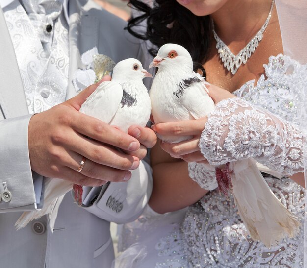 Wedding pigeons in hands of the groom and the bride