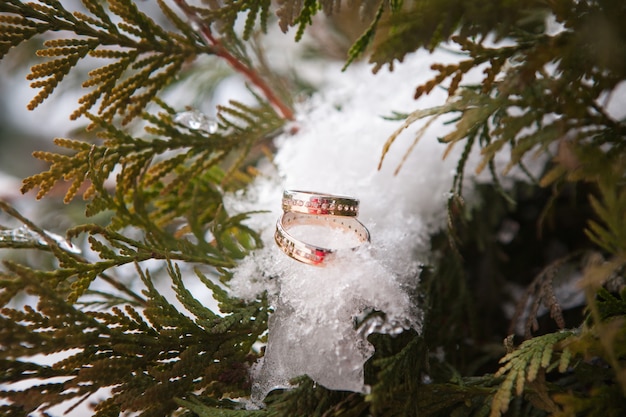 The wedding rings against the backdrop of a snow-covered tree