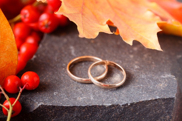 Wedding rings  on autumn background