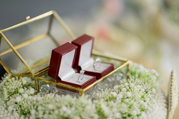 Wedding rings in a beautiful glass box on flowers with blurred background