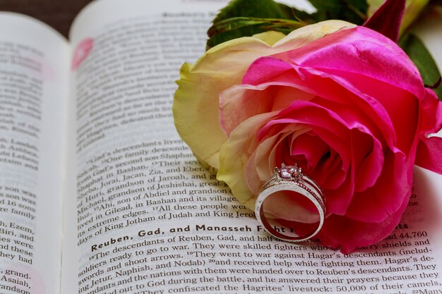 Wedding rings on Bible