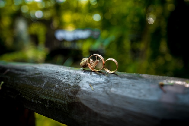 Wedding rings close-up near a crawling snail during sunset