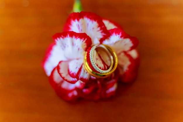 Wedding rings closeup background.