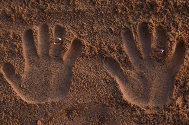 Photo wedding rings embedded in the sand of the beach 2